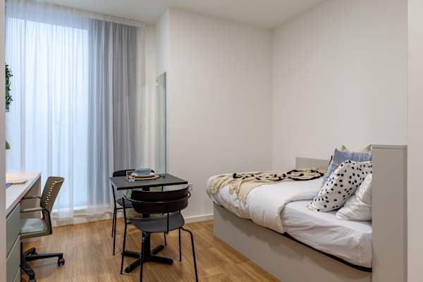 Gold Studio room type
